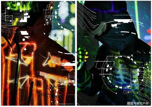 始祖鸟最新爆料,揭秘进化奇迹背后的神秘力量